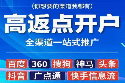 百度竞价赚钱的技巧与成功案例探讨